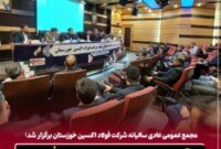 تحقق برنامه های تولید و فروش /  پایداری تولید و توسعه بازارهای جهانی در سال سخت صنعت
