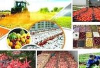 سازمان نظام مهندسی کشاورزی خوزستان، الگویی تازه در تسهیل مجوزهای کشاورزی شد