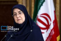 توضیح سخنگوی دولت درباره تصمیم‌گیری برای قیمت بنزین