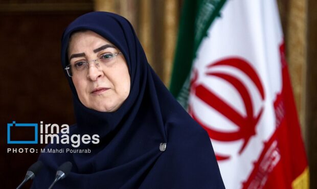 توضیح سخنگوی دولت درباره تصمیم‌گیری برای قیمت بنزین