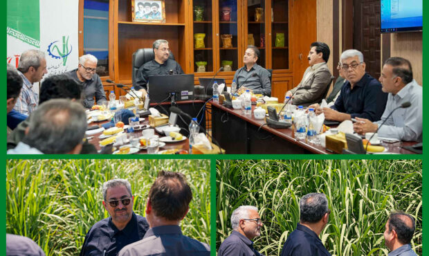 توانمندسازی کسبوکارهای روستایی همجوار نیشکر/توسعه پایدار نیشکر با مشارکت جوامع محلی محقق میشود توانمندسازی کسبوکارهای روستایی همجوار نیشکر/توسعه پایدار نیشکر با مشارکت جوامع محلی محقق میشود